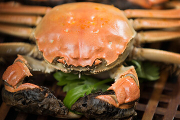crab on a wooden board
