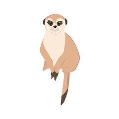 Meerkat Illustration
