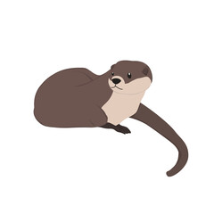 Otter  Illustration