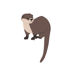 Otter  Illustration