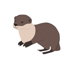 Otter Illustration