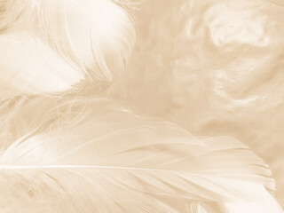 Obraz premium Beautiful abstract gray and white feathers on white background, soft brown feather texture on white pattern, yellow feather background