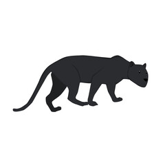 Black Leopard  Illustration