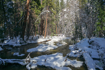 Quiet river flow with slick rocks and pine trees covered with the snow in Yosemite Central Park during the winter