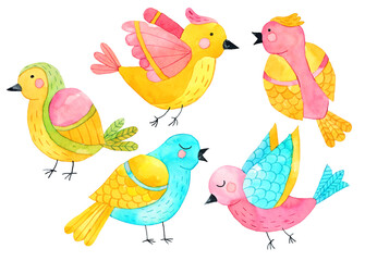 Cute watercolor colorful funny birds. Cartoon birds for your design. Hand drawn illustrations isolated on white background