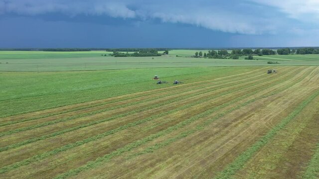 The tractor and hay tedder prepare hay harvest for cultivation. Cutting alfalfa fieldand swathing with a swather. Tractor working at field. Haymaking in the countryside. Beautiful scenery and blue sky