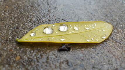 Tan estable como una gota