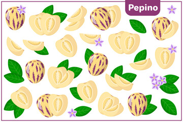 Set of vector cartoon illustrations with Pepino exotic fruits, flowers and leaves isolated on white background