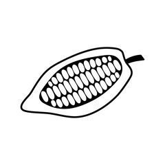 Doodle cocoa icon isolated on white. Hand drawing line art. Chocolate food. Sketch vector stock illustration. EPS 10