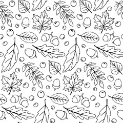 Seamless pattern falling leaves, acorns, berries. Vector autumn texture isolated on white background, hand drawn in sketch style, black outline. Concept of forest, leaf fall, nature, thanksgiving