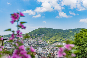 Obraz premium 稲佐山と花