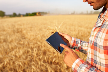 Naklejka na ściany i meble Precision farming. Farmer hands hold tablet using online data management software with maps at wheat field. Agronomist working with touch computer screen to control and analyse agriculture business.