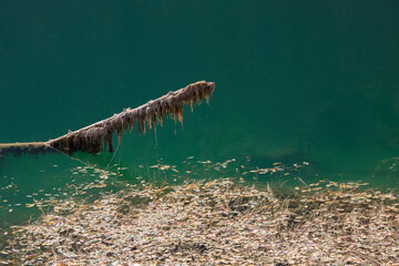 Suluklu Gol Lake Camping Akyazi Sakarya © kadrajan