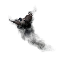 crow flying from dark grey smoke isolated on white