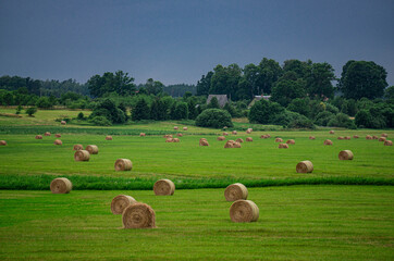 Beautiful landscape of a field with rolls of mowed grass and a dark stormy sky in Latvia in summer.