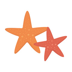 Fototapeta na wymiar summer travel and vacation beach sea starfish isolated design icon