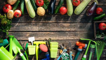 Garden tools and vegetables on the garden table flat lay background with copy space. Gardening. Agricultural concept background.