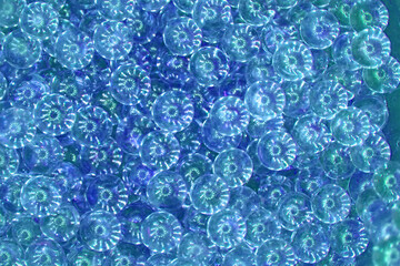 Fototapeta na wymiar blue glass balls texture