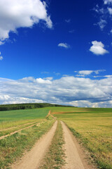 Fototapeta na wymiar Dirt road in a field under a blue sky