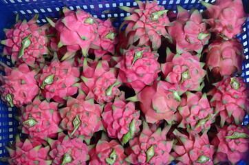 Ref Flesh Dragon Fruit Pitahaya