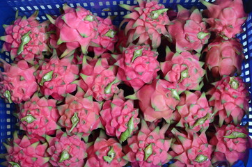 Ref Flesh Dragon Fruit Pitahaya