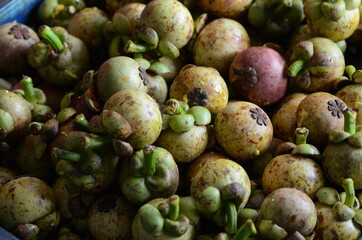 Unripe Mangosteen