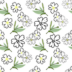 Wildflowers.Vector illustration on a white and colored background. Pattern.