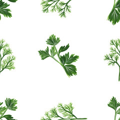 parsley and dill hand drawn isolated on a white background. Raster square print seamless pattern