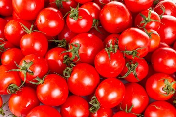 red tomato raw ripe vegetable,  group.