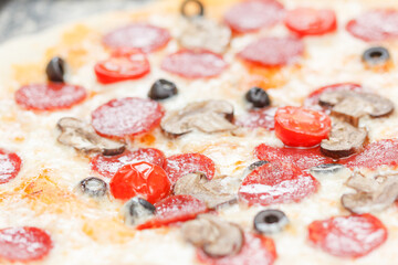 Fresh pizza pepperoni in macro view