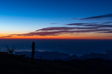 夜明けの空と海と樹木