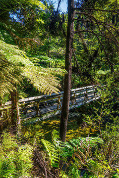 Bridge On A River. Abel Tasman National Park, New Zealand