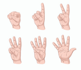 Men's hand palm counting in gesture with fingers one, two, three, four, five, hand drawn vector illustration in light skin color and shadow cartoon style, set