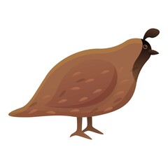 Farm quail icon. Cartoon of farm quail vector icon for web design isolated on white background