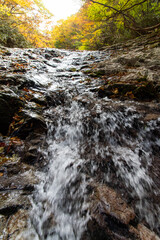 勢いよく水が流れる紅葉が美しい渓谷