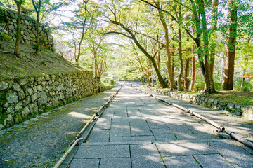 京都　毘沙門堂