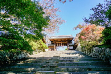 Fototapeta na wymiar 京都　毘沙門堂