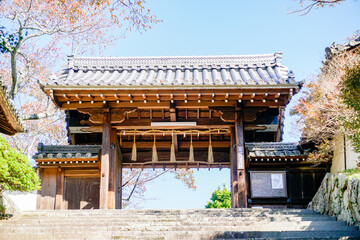 京都　毘沙門堂