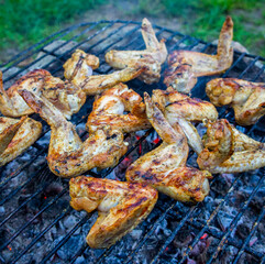 Barbecue chicken fried wings. On coals and grill close-up