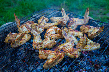 Obraz na płótnie Canvas Barbecue chicken fried wings. On coals and grill close-up