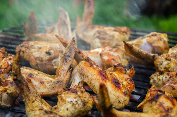 Barbecue chicken fried wings. On coals and grill close-up