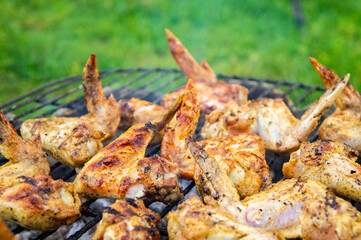 Barbecue chicken fried wings. On coals and grill close-up