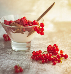 Ice cream in a glass bowl and red summer berries currants and raspberries on a light background; Summer still life, close-up, refreshing treat