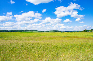Fototapeta premium Rural beautiful european landscape summer without people