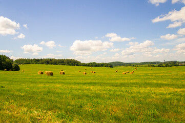 Agricultural field with harvested hay and stacks in summer