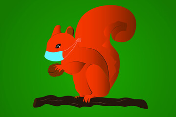 Squirrel with a nut in a medical mask. The animal in the mask. Illustration. Vector. Virus protection.