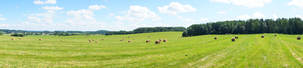 Agricultural field with harvested hay and stacks in summer