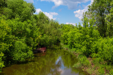 Fototapeta na wymiar River in the green forest