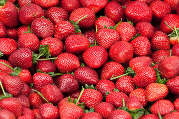 Fresh organic berries macro.Strawberry.Seasonal organic strawberries grouped freshly harvested with green leaves and natural imperfections. healthy Food background.