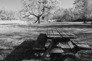 Schrebergarten im Herbst mit gemütlicher Sitzecke in schwarz-weiß